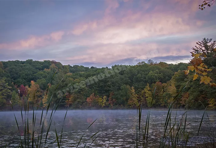 Hall Lake Morning Mist 05