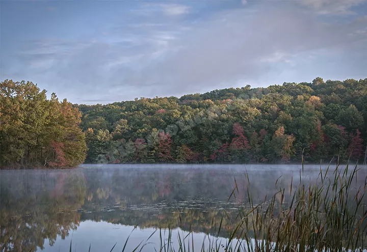 Hall Lake Morning Mist 06