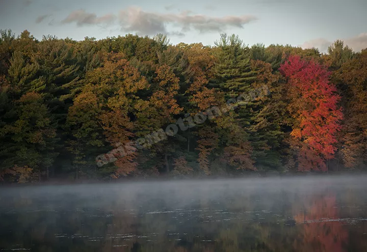 Hall Lake Morning Mist 43