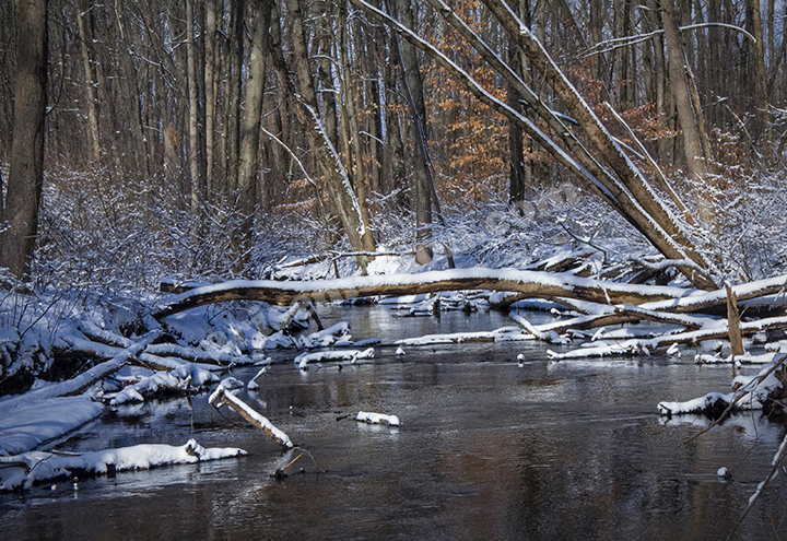 Rabbit River Winter 08