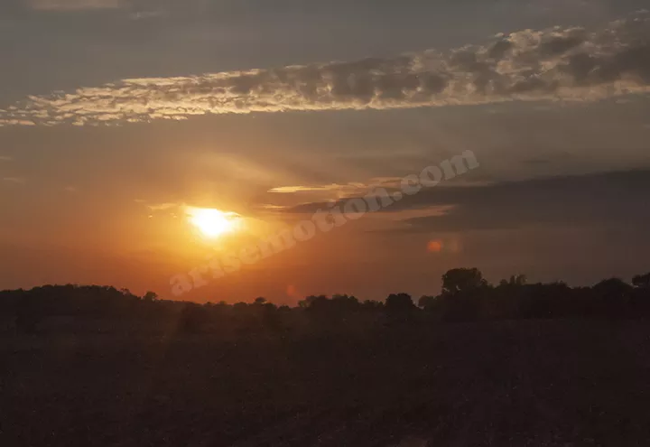 Sunset Field 02